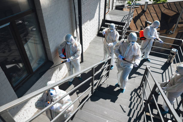 Best Commercial Mold Inspection  in Rolling Hills Estates, CA