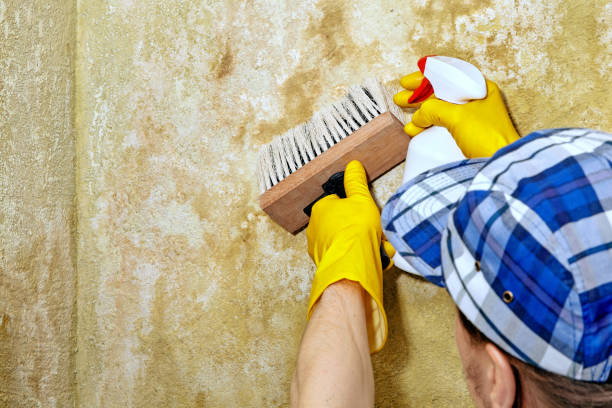 Best HVAC Mold Inspection and Cleaning  in Rolling Hills Estates, CA